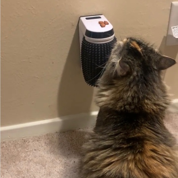 Automatic Self Groomer for Cats - Cat Grooming Supplies, Pet Hair Removal Brush - Picture 5 of 6